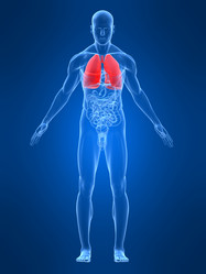 Similar image 8197251