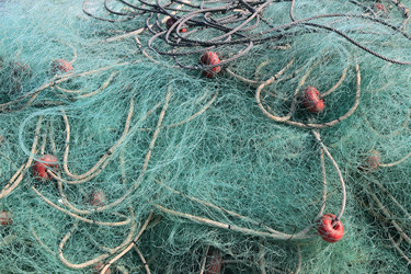 Similar image 8197280