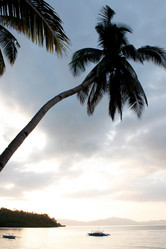 Similar image 8197334