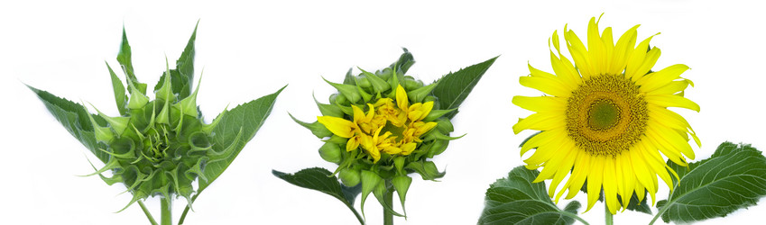 Similar image 8197346