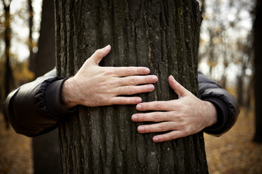 Similar image 8197347