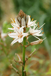 Similar image 8197364