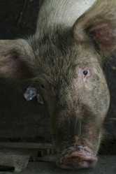 Similar image 8197398