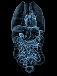 Similar image 8197399