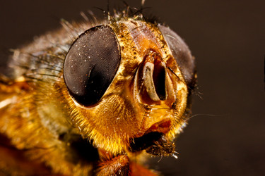 Similar image 8197404