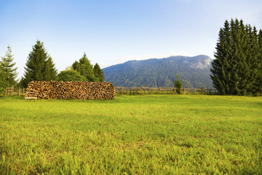 Similar image 8197410