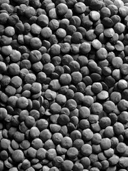 Similar image 8197418