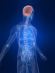 Similar image 8197431