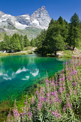 Similar image 8197433