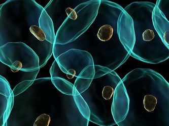 Similar image 8197434