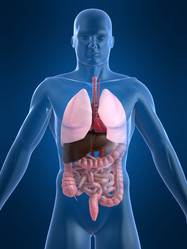 Similar image 8197454