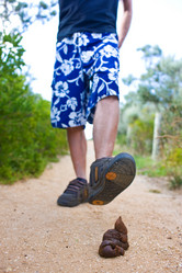 Similar image 8197456