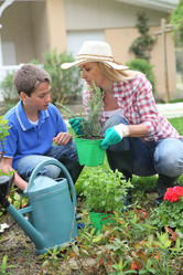 Similar image 8197462