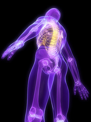 Similar image 8197484