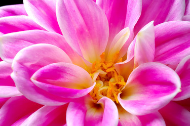 Similar image 8197533