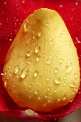 Similar image 8197536