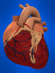 Similar image 8197554