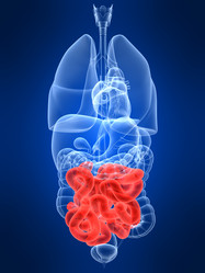 Similar image 8197565