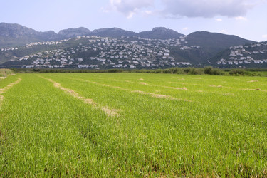 Similar image 8197640