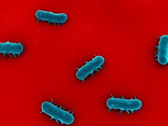 Similar image 8197690