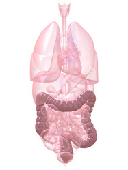 Similar image 8197694