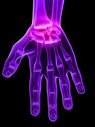 Similar image 8197698