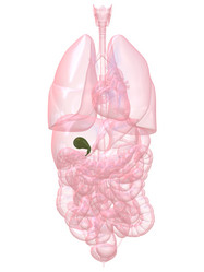 Similar image 8197721