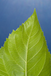 Similar image 8197740