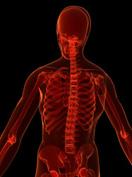 Similar image 8197757