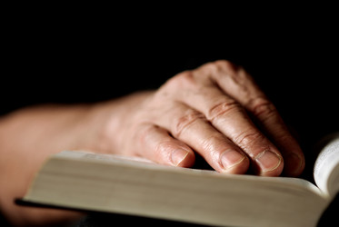 Similar image 8197813