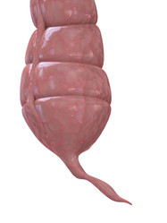 Similar image 8197833