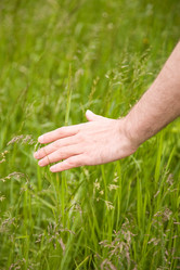 Similar image 8197856