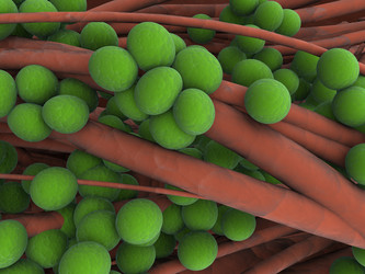 Similar image 8197861