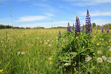 Similar image 8197878