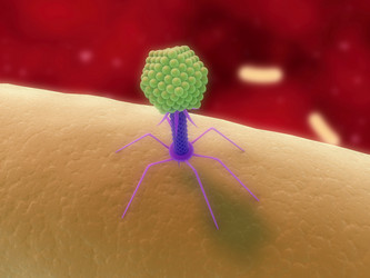 Similar image 8197882