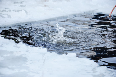 Similar image 8197900