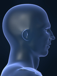 Similar image 8197977