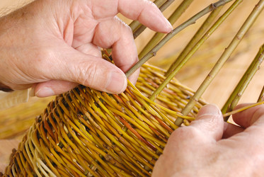 Similar image 8198027