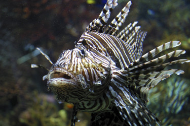 Similar image 8198028