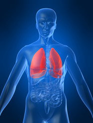 Similar image 8198035