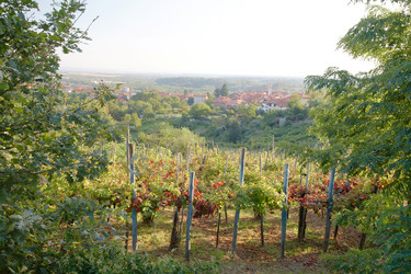 Similar image 8198039