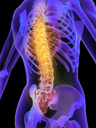 Similar image 8198051