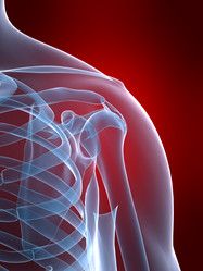 Similar image 8198077