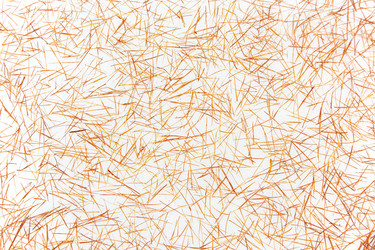 Similar image 8198085