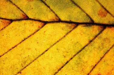 Similar image 8198107