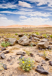 Similar image 8198143