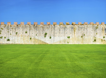 Similar image 8198153