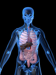 Similar image 8198181