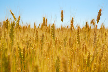 Similar image 8198183