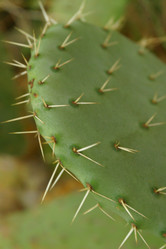 Similar image 8198193